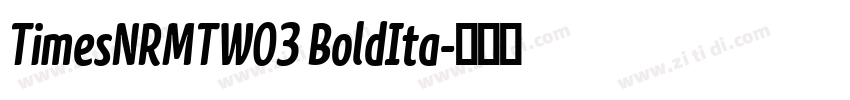 TimesNRMTW03 BoldIta字体转换
